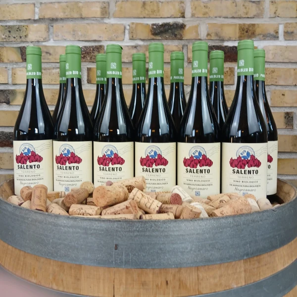 12 flasker - Paolo Leo Terreno Negroamaro Salento Økologisk rødvin 2021, Puglia Italien