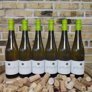 Kasse med 6 - Gut von Beiden Riesling 2023, Økologisk hvidvin, Pfalz Tyskland