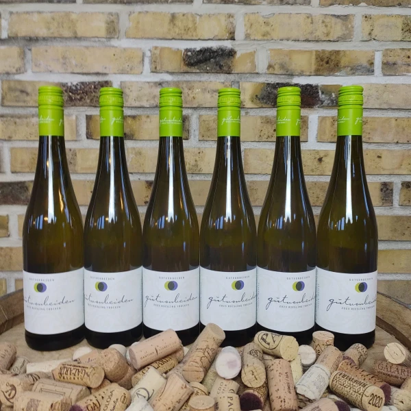 Kasse med 6 - Gut von Beiden Riesling 2023, Økologisk hvidvin, Pfalz Tyskland