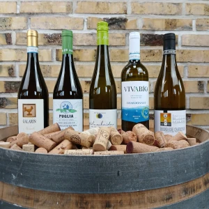 Fødselsdags smagskasse, Chardonnay smagskassen, 5 økologiske, biodynamiske og veganske hvidvine
