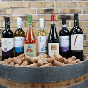 Italiensk smagskasse, 7 vine fra Veneto, Toscana, Piemonte & Puglia, økologiske, version 5.0