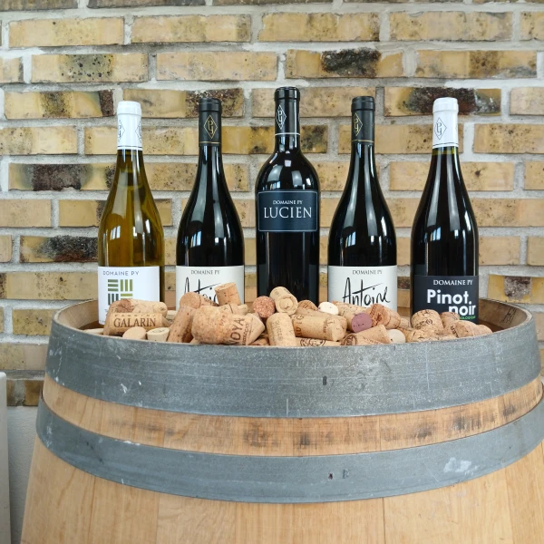 Languedoc fødselsdagssmagskasse, Økologiske og biodynamiske vine