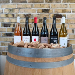 Rhône Smagskasse - 6 Økologiske franske klasse vine